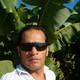 Philippos, 52