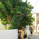 Panayiotis, 81