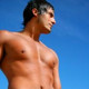 rumen, 40