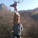 VOLODYA, 38
