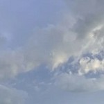 �������� ��������, 54